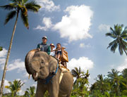 Bali Elephant Camp