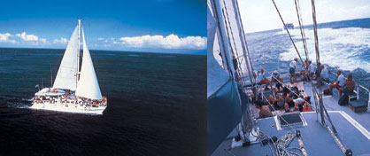 Bali Cruises, Bali Hai Aristocat,Cruise to Lembongan Island