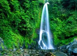 Cat. #96-22-20 Git Git Falls, Bali, Indonesia