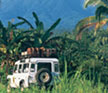 Bali Adventures, Waka Land Cruise