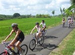 cycling1