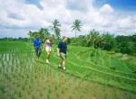 trekking_bali