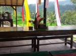 downloadfile-18