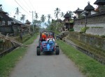 buggy-06