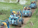 buggy-drive