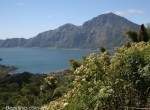 Kintamani_Bali